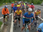 View Album of May Metric